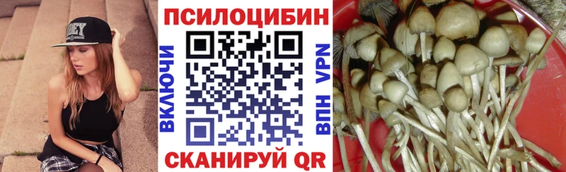 Галлюциногенные грибы GOLDEN TEACHER  закладка  Тейково 